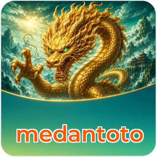 Troubleshooting - medantoto Optimization Tips